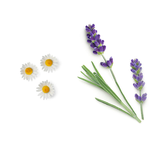 Doterra babasampon és tusfürdő összetevői