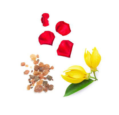 console whats inside 1085x1050 eu