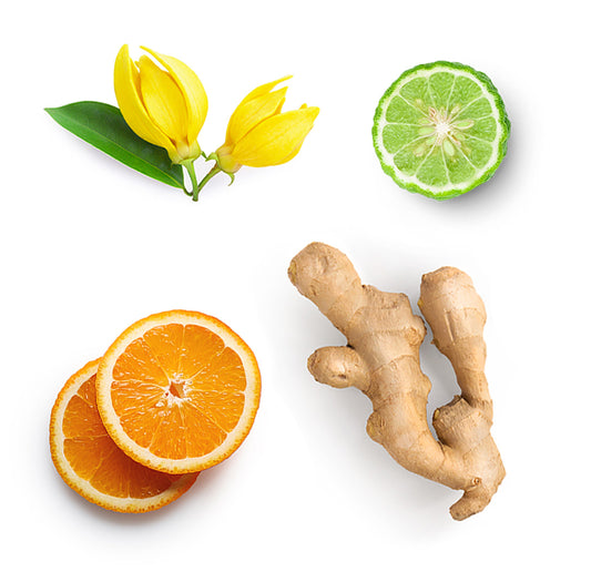 passion whats inside ref 1085x1050 eu