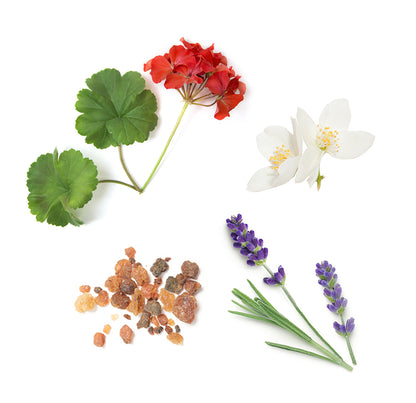 antiagingmoisturizer whats inside 1085x1050 eu