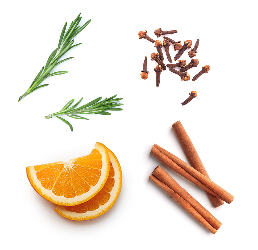 on guard whats inside 1085x1050 eu