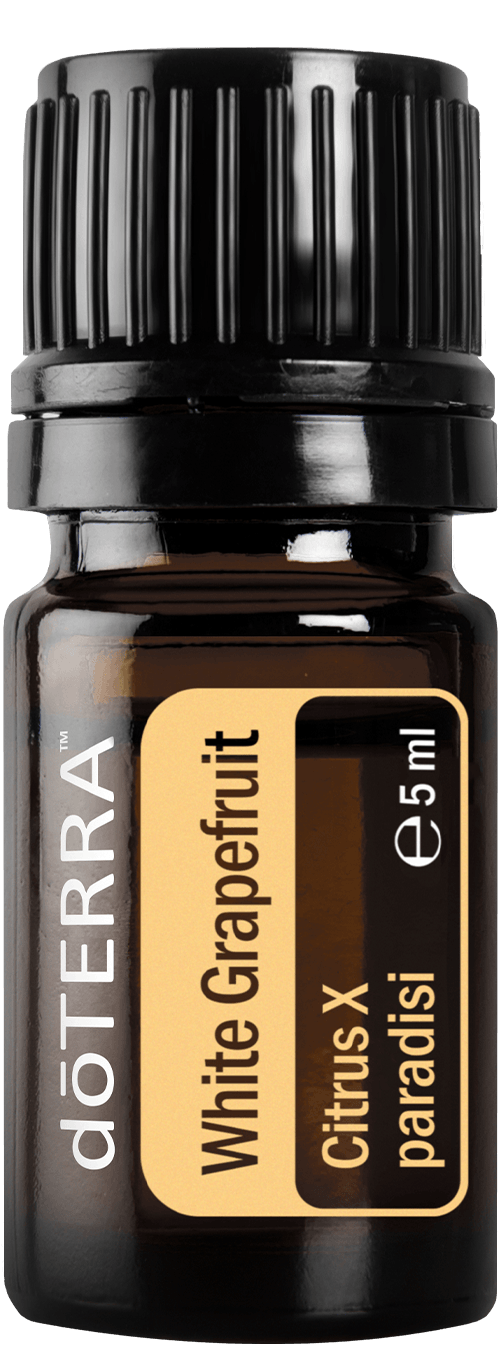 whitegrapefruit large 1720x1350 eu