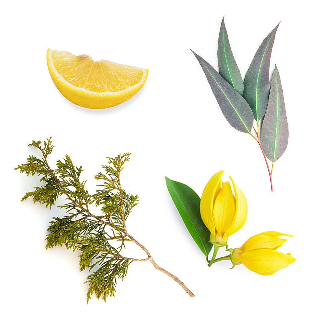 doterra terrashield mi van benne