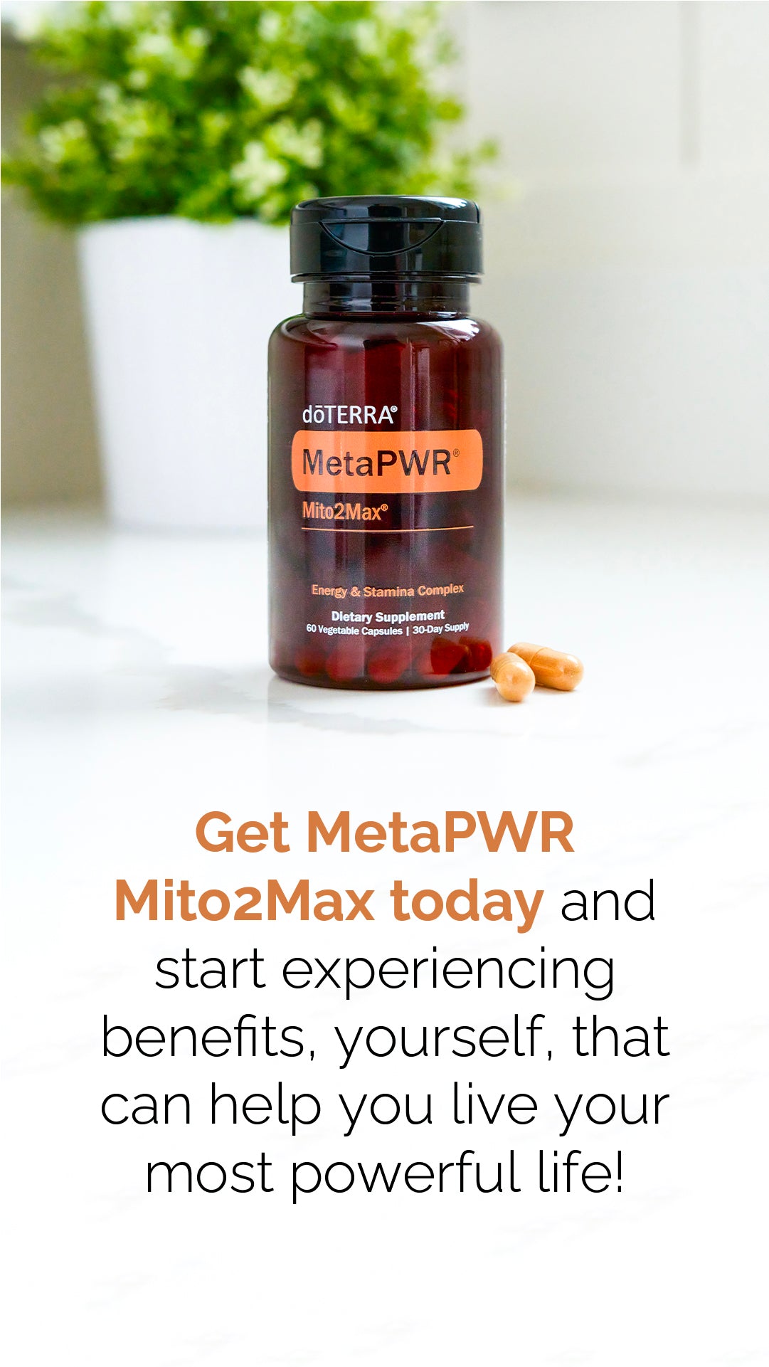 Doterra MetaPWR Mito2max zöldségkapszula