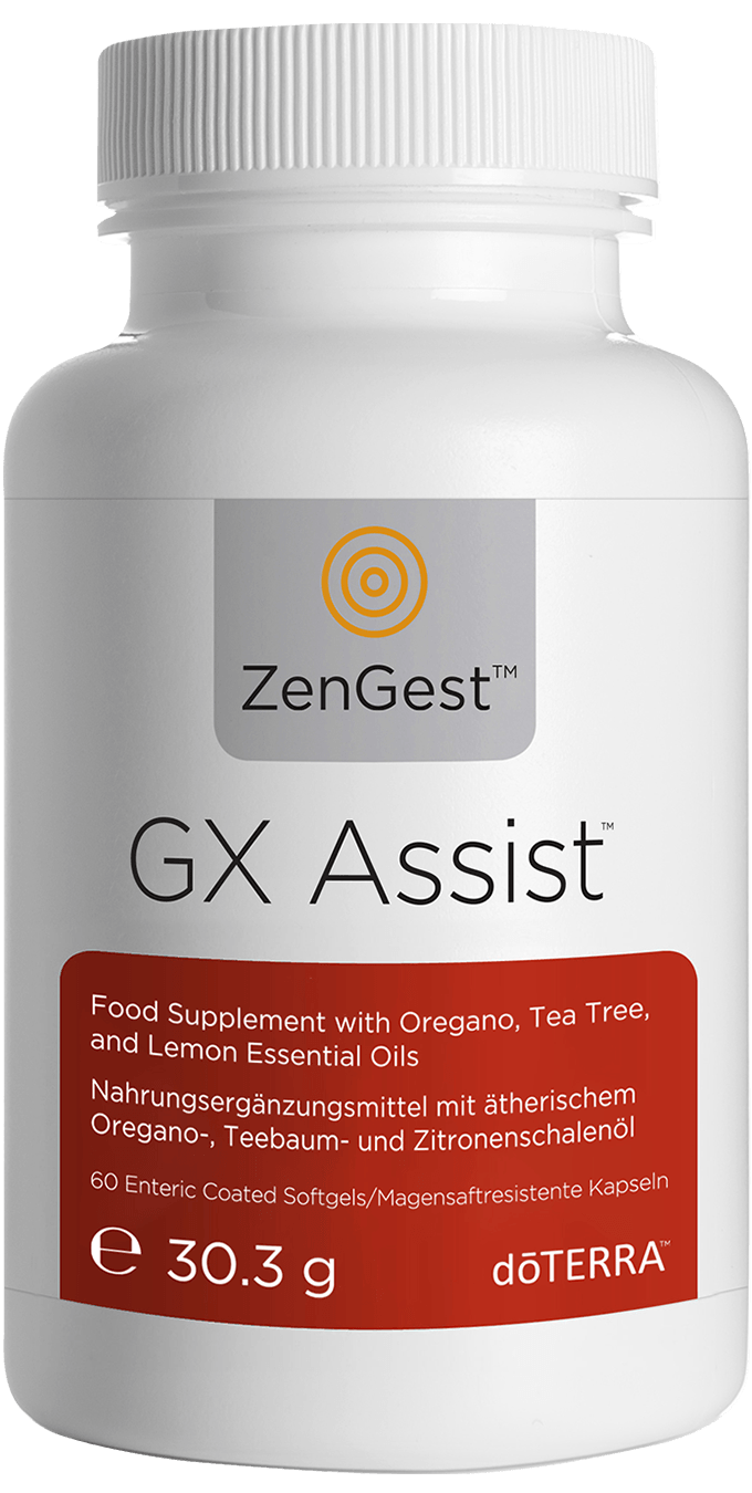 gx assist large 680x1350px eu